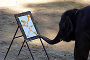 Elefanten-Kunst:  Glckssymbol ganz besonderer Art