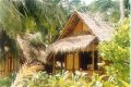 Foto: Baan Panburi Bungalows (Koh Phangan/Thailand)