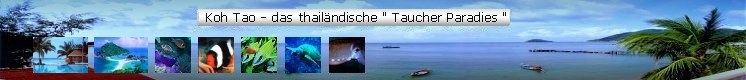 Koh  Ko Tao in Thailand - Die Traum Insel zum Tauchen ...