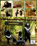 Phu Khieo Wildlife Reserve Zoo (Khon San, Chaiyaphum)