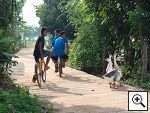 Holiday house in the Isan: isan Village idyl - Thai children