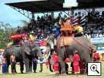 Isan-Fotos: Surin Elephant Festival