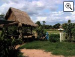 Holiday house Isan - view into the rice fields