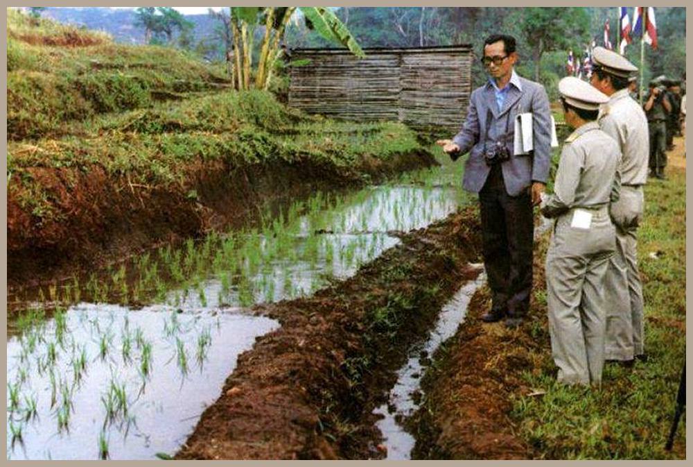 Knig Bhumibol managt Wasserbauprojekte