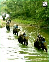 Bild: Chiang Mai Elefant Trekking (Thailand)