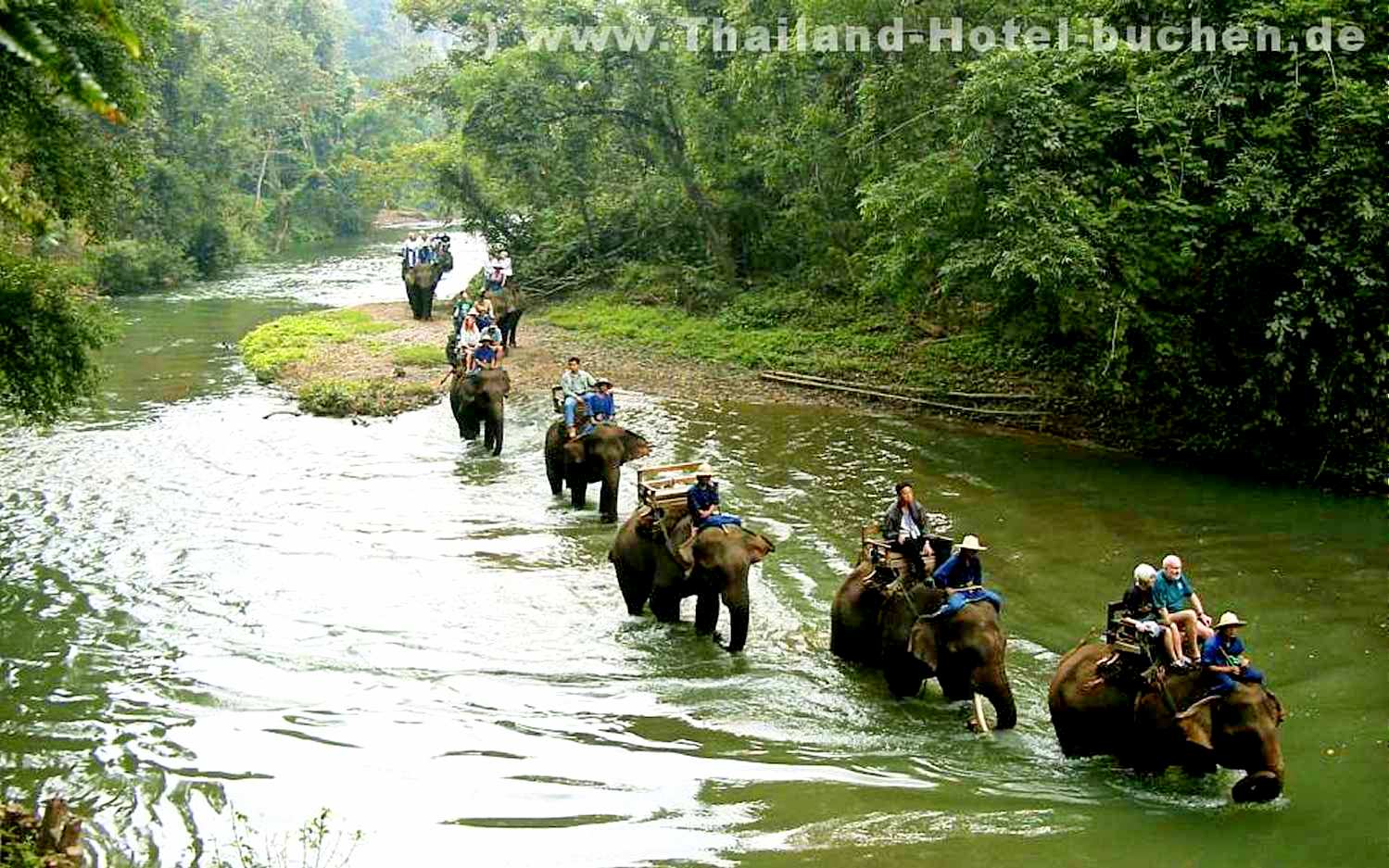 Chiang Mai Elefant Trekking