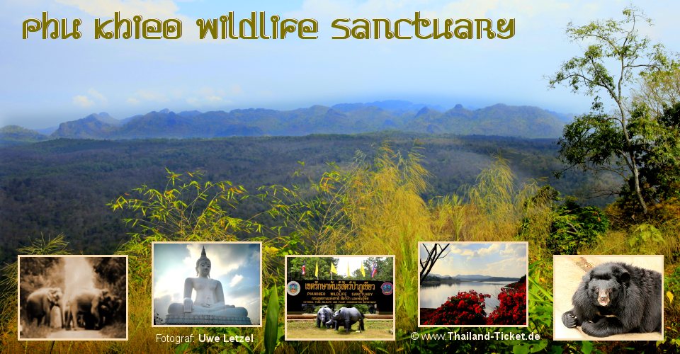 Foto: Isaan Wildlife Sanctuary Phu Khieo 