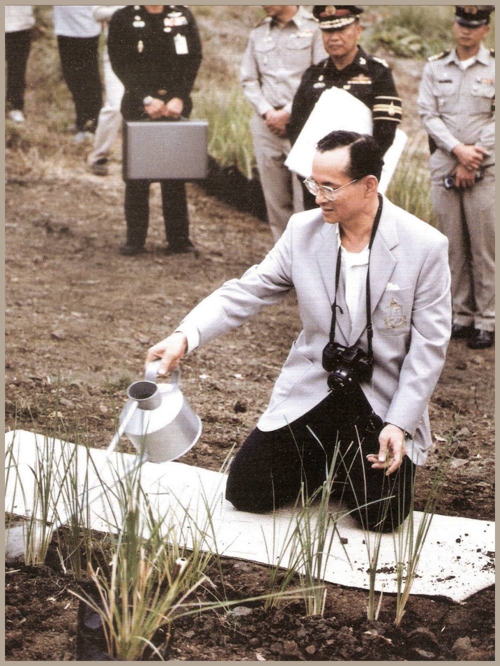 Knig Bhumibol bei Reisbauern