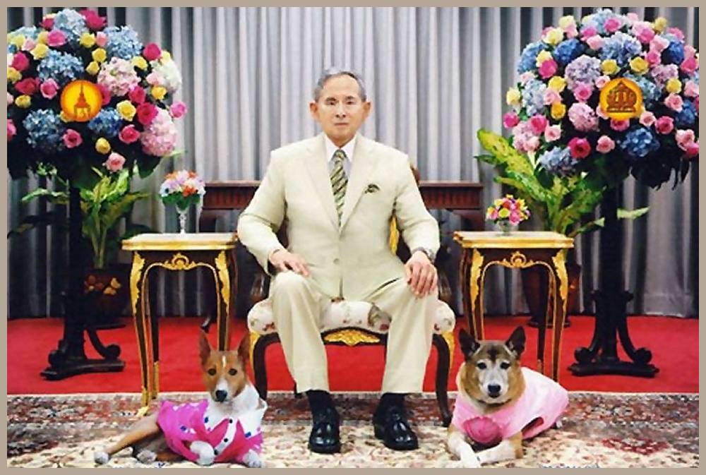 Knig Bhumibol Neujahrsansprache 2011