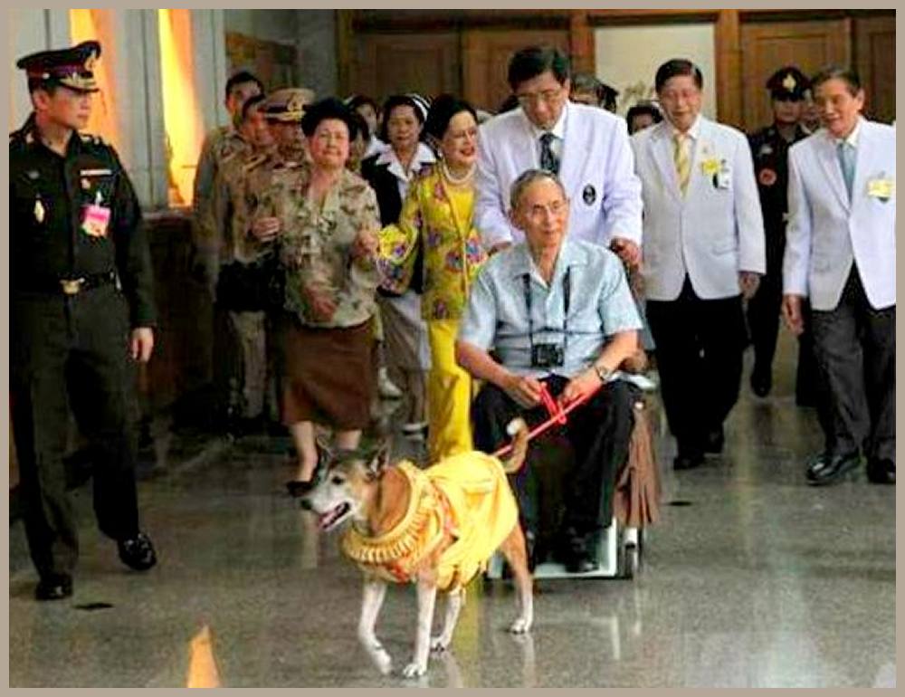 alternder Knig Bhumibol